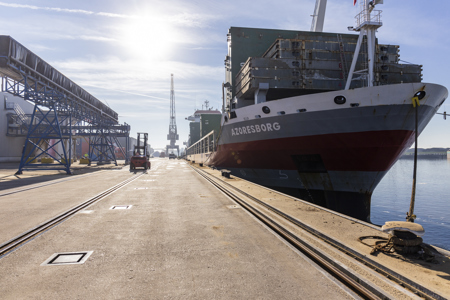 m.v. Azoresborg discharged citrus pulp pellets in Delfzijl