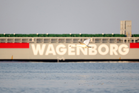 Measures Wagenborg concerning Corona virus