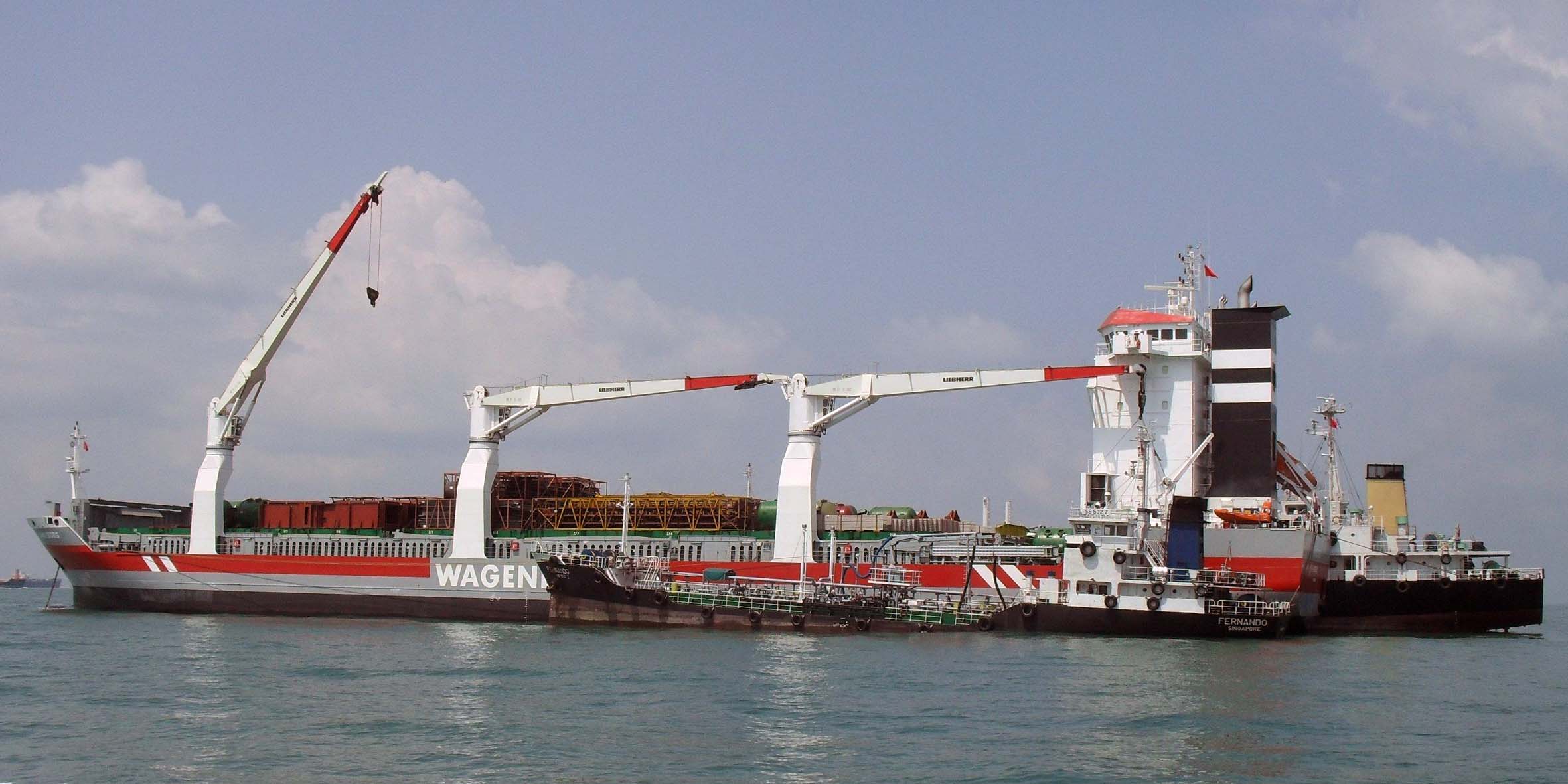 Majority of Wagenborg fleet switched to low sulphur fuel